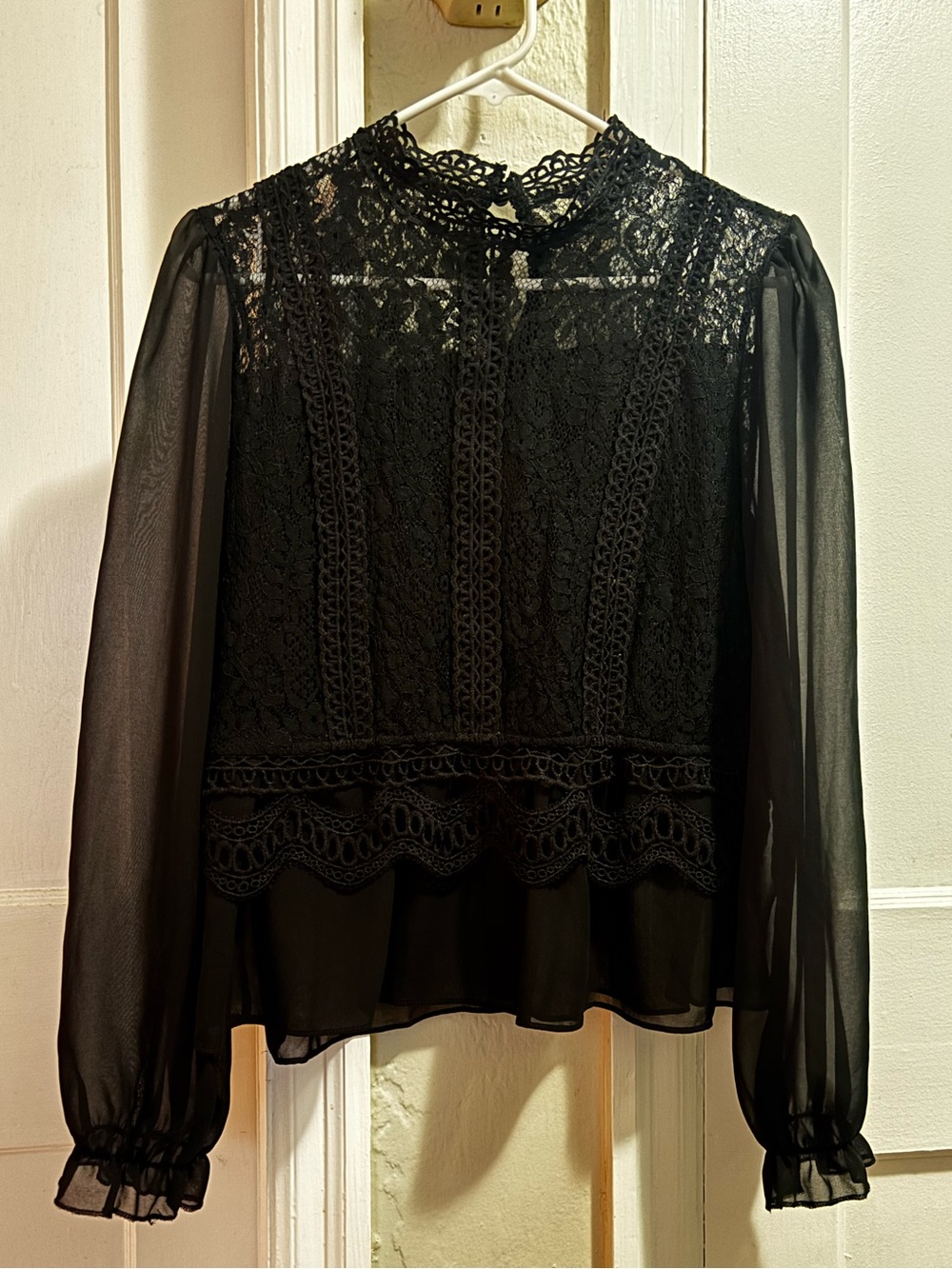 Sheer lace gothic blouse